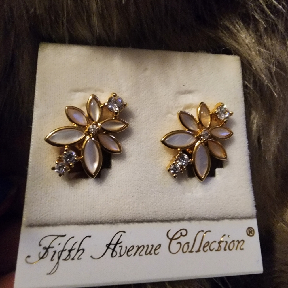 Earrings clip on